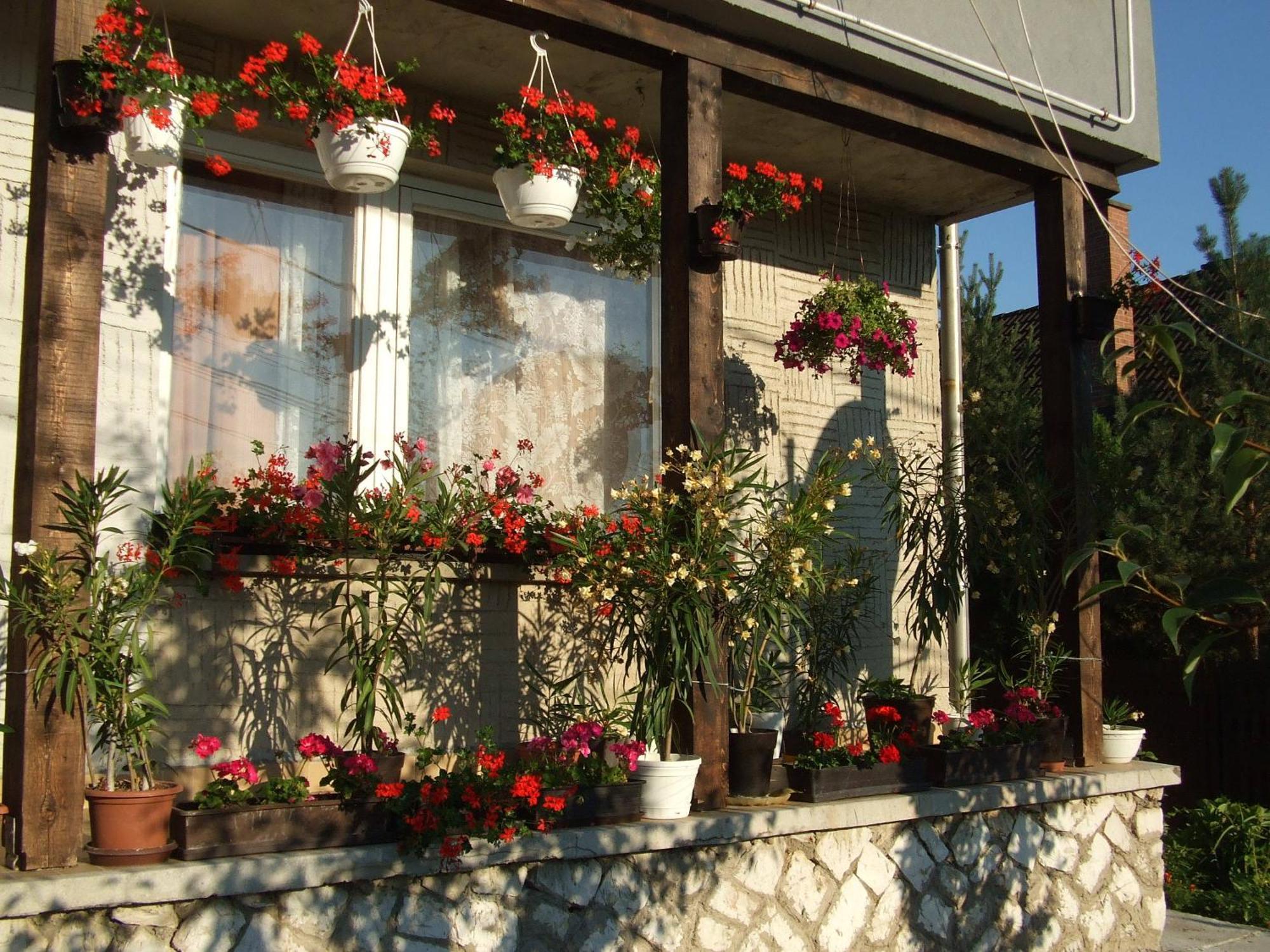 Napfeny Vendeghaz Apartment Miskolc Bagian luar foto